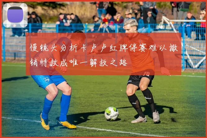 慢镜头分析卡卢卢红牌停赛难以撤销特赦成唯一解救之路
